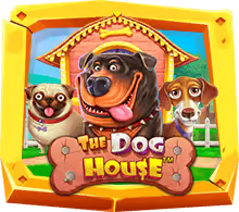 the-dog-house